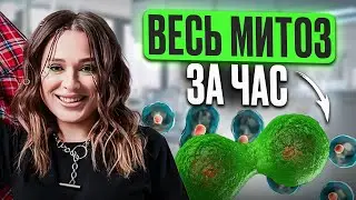 A SIMPLE and CLEAR analysis of MITOSIS for the Unified State Exam in Biology in 1 HOUR! / The ent...