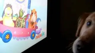 Wonder Pets