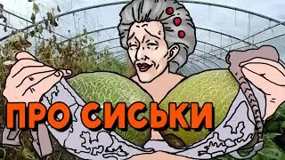 Про сиськи | Какие сиськи лучше? | Ace Attorney