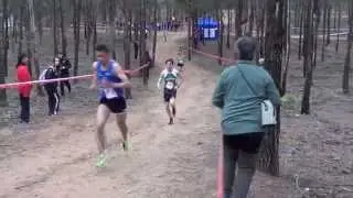 Campeonato Navarro Cross Largo 2015   YTB