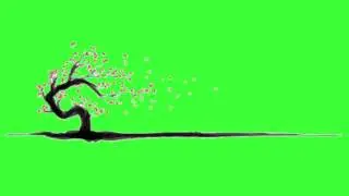 ✔️GREEN SCREEN EFFECTS: Sakura Tree