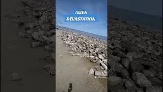 alien devastation