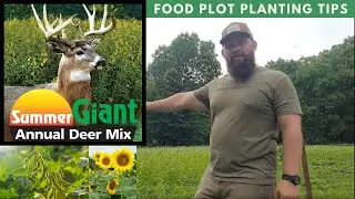 How to Plant an Irresistable Deer Plot - Summer Giant Annual Deer Mix @nixahardware