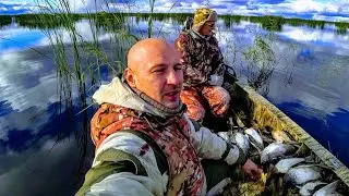 Dad, give me ammunition or hunting in the Siberian swamps. Duck Hunting 2021.