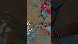 sare test jala faye 😂 #youtubeshorts #shortvideo #videoediting #viralvideo #shorts