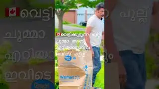 കാണുന്നേടത്തൊക്കെ വലിച്ചെറിയാൻ ഇത് കേരളം അല്ല ..#canada #kerala #short