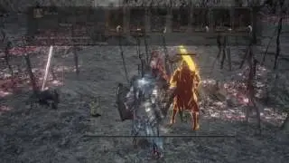 DS3 финал
