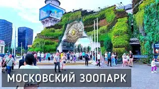 Московский зоопарк 🐼 Цены и очереди. Лето в Москве / Moscow Zoo 