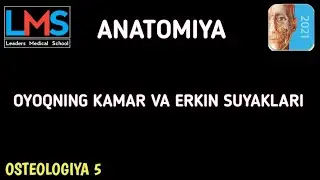 OYOQNING KAMAR VA ERKIN SUYAKLARI