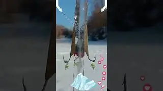 Winter Lure 