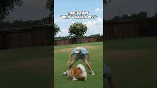 When your dad “doesn’t want a dog”