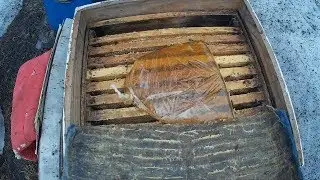 Подкормка пчёл весной. Весенняя стимуляция пчелосемей