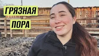 Обзор хозяйства на начало апреля: мангалица, куры, коза