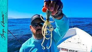 Pesca y prepara - PULPO ARTIFICIAL nos da la comida del día