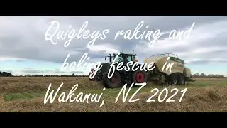 Quigley Contracting Raking and baling fescue straw in Wakanui NZ