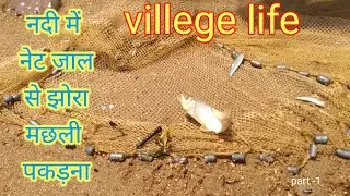 villege cast net fishing ||net fishing in river ||नदी में मछली कैसे पकड़े