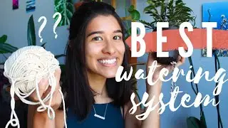 I STOPPED WATERING MY PLANTS 🤯 | DIY Self Watering Systems Part 2!
