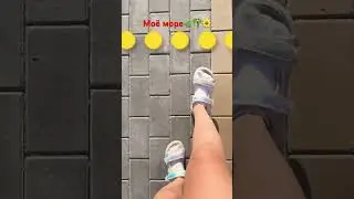 Цветы🌲🌳🌴🌼🌸🌺🪻🌾