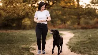 Sam, Milena & Elias - Hunde-Videografie - Labrador