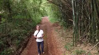 PASSEIO NA MATA ROLÂNDIA ( DRONE )