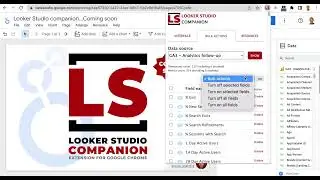 Looker studio extension from Chrome - Data source bulk actions