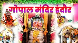Gopal Mandir Shri Krishna Janmashtami 2024