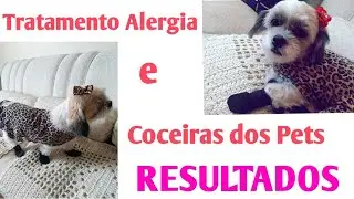 Resultados Tratamento alergia e Coceira dos Pets - Resultados