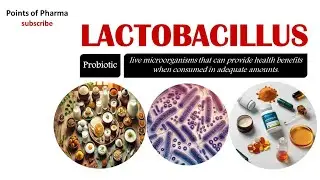 Lactobacillus