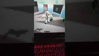Roblox on Any Linux Distro August 2024 Updated!!!