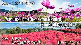 Way Back Home ft. Conor Maynard（Sam Feldt Festival Mix）大分るるパーク（大分農業文化公園）＆ 三光コスモス園 / βillyMix.Vol.273