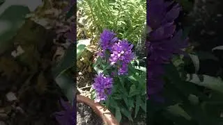 В день России я желаюНеба мирного стране,Чтобы счастливо мы жилиНа своей родной земле!❤❤❤❤❤❤❤❤