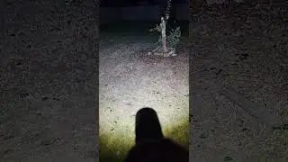 Scary Sight With A Flashlight | Coast XP11R