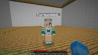 Sumo Duels demo (custom plugin)