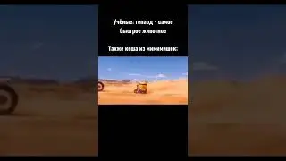 #мем