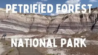One Day in Petrified Forest | A National Park Travel Guide