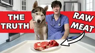 Vets Guide to Feeding Raw Pet Food