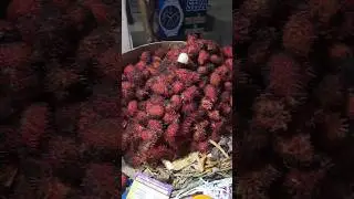 #shorts #litchi #viral #shortvideo #subscribe #rambutan #trending #fruit