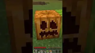Minecraft in Ohio compilation  #minecraft  #shorts