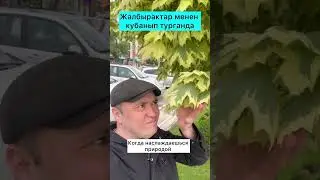 29 мая 2024 г.