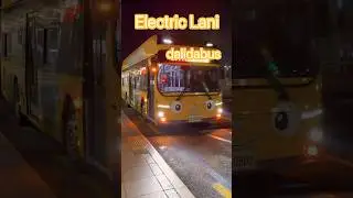 Electric Bus 