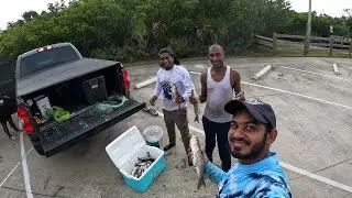 Catching Mullet At Oak Hill Florida