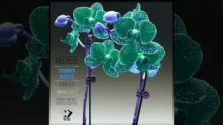 Ilya Fly - Summer Nights: Remixes, Pt. 1