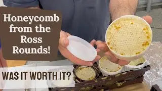 FRESH HONEYCOMB FROM OUR ROSS ROUNDS  | BEEKEEPING