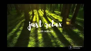 Nature Sounds to Calm Your Mind and Ease Stress | nature sounds | sleepmusic | peaceful music |