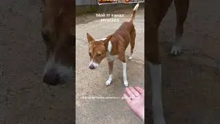 Мета мерность и Иисус. Что значит, подставить щеку? #путькпросветлению