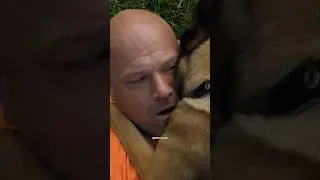 K9 Charged a Chained Prisoner… Then Started Crying 😳 