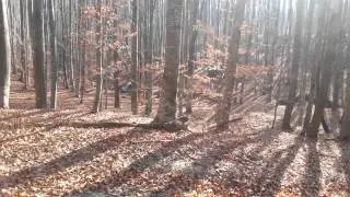20131116 122808