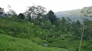 Terpesona aku terpesona
