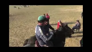 Араншы Курал,Бахош,Мамырбай мырза