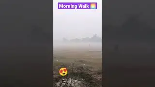 #morningwalk